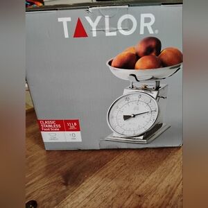 Taylor Silver Kitchen Scale with Stainless Steel Finish